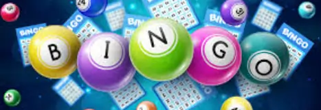 bingo casino sites